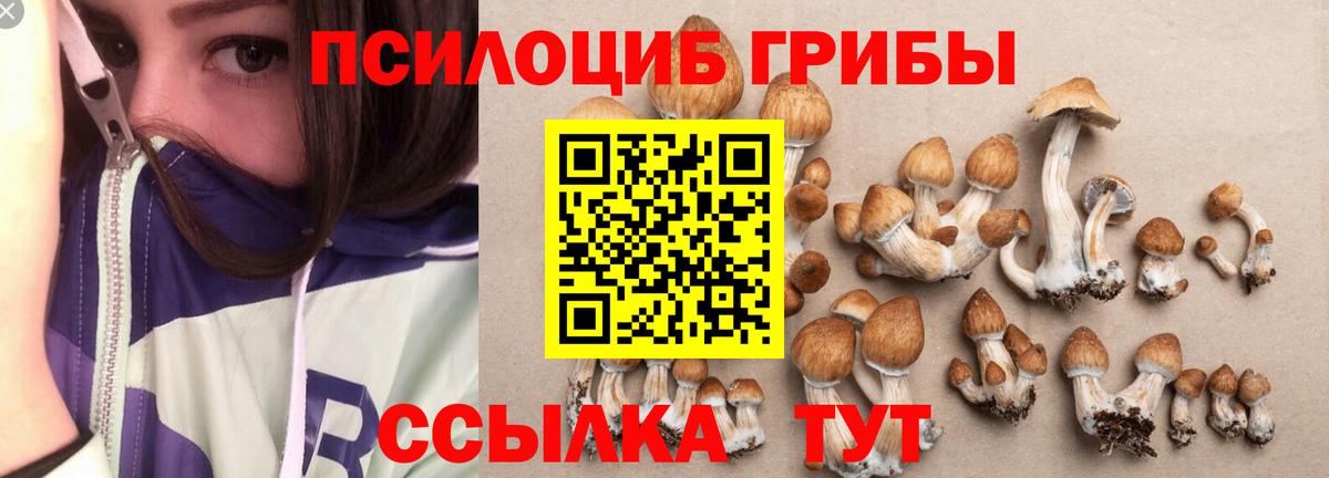Уссурийск  Галлюциногенные грибы GOLDEN TEACHER  Галлюциногенные грибы прущие грибы  Вход с VPN 